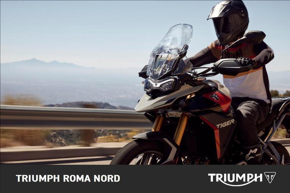 Triumph Tiger 900 Rally Pro (2024 - 26) (4)