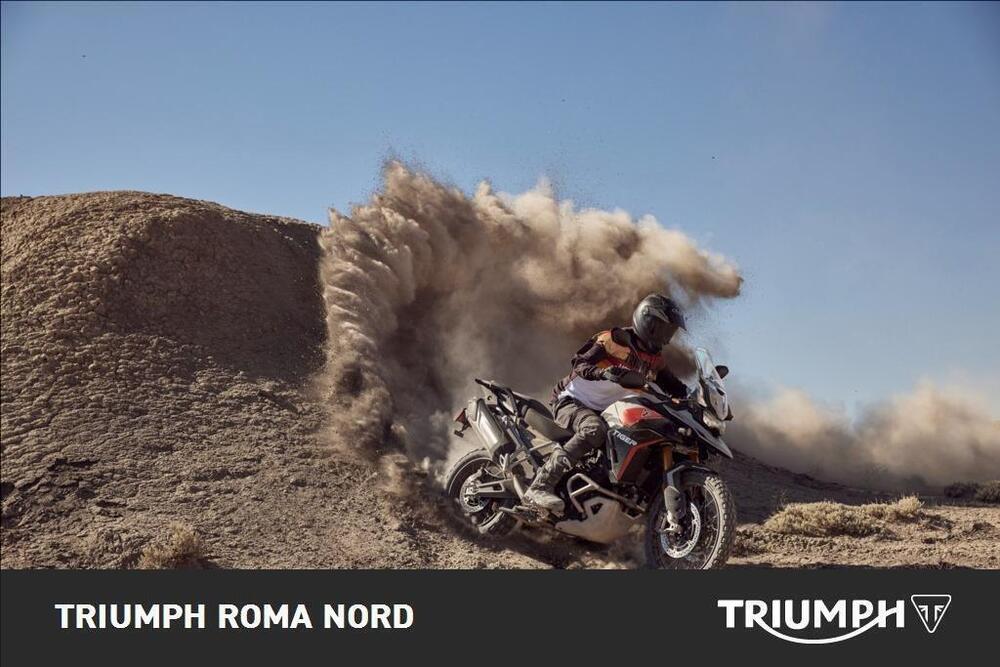 Triumph Tiger 900 Rally Pro (2024 - 26) (6)