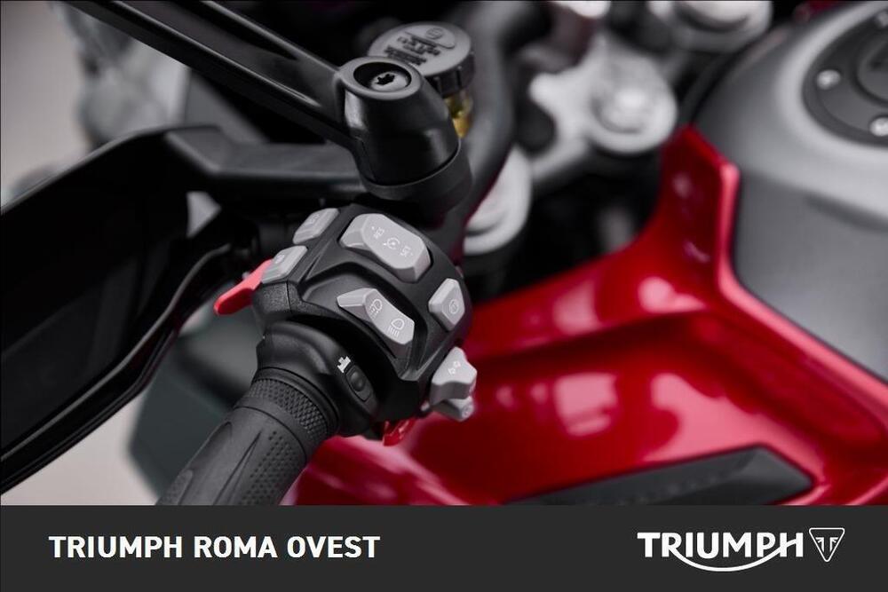 Triumph Tiger 1200 GT Explorer (2024 - 25) (3)