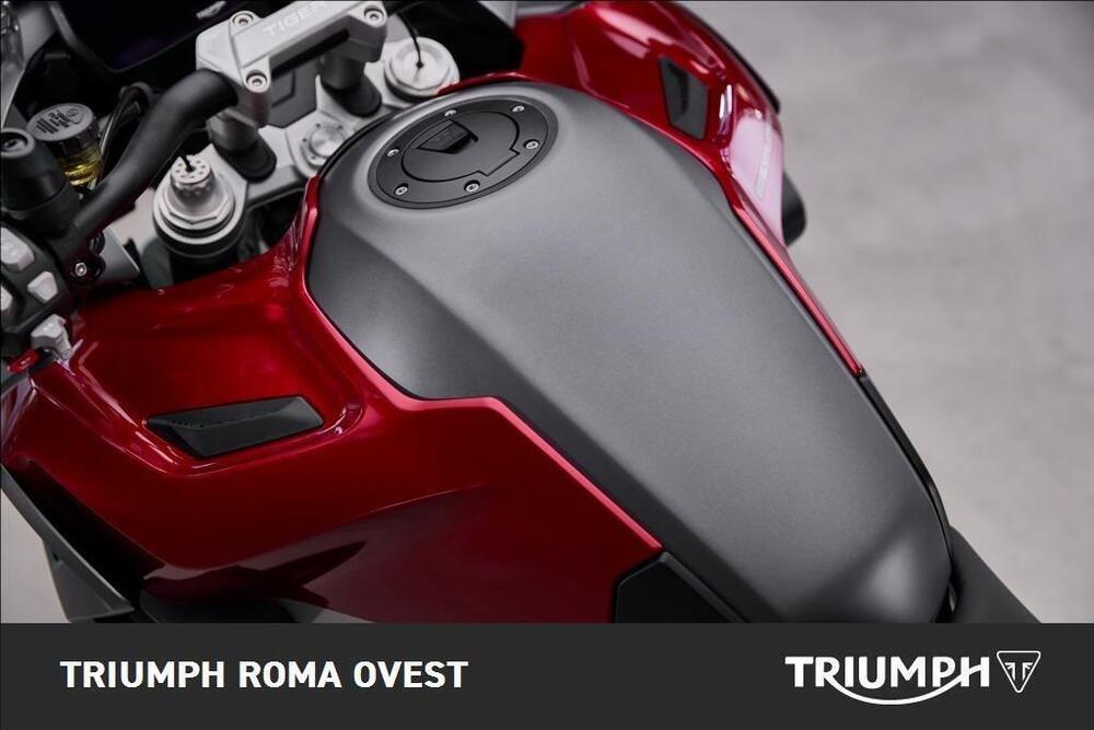 Triumph Tiger 1200 GT Explorer (2024 - 25) (4)