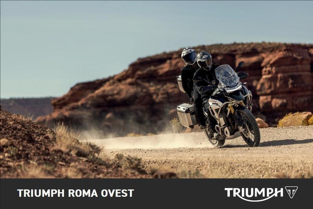 Triumph Tiger 1200 Rally Explorer (2024 - 25) (5)