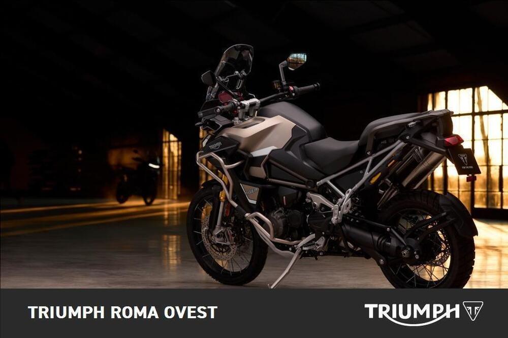 Triumph Tiger 1200 Rally Explorer (2024 - 25) (4)