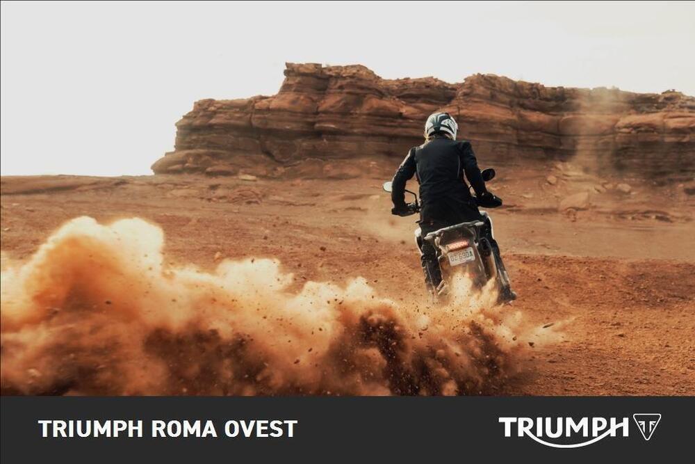 Triumph Tiger 1200 Rally Pro (2024 - 25) (5)