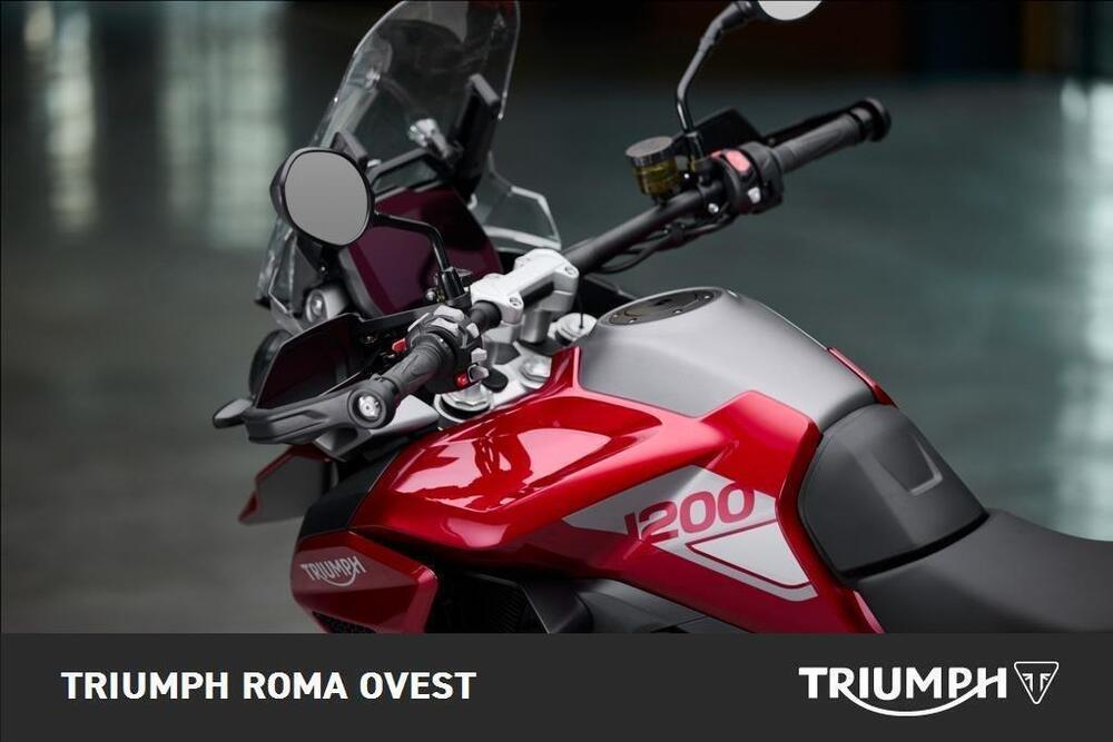 Triumph Tiger 1200 GT Pro (2024 - 25) (3)