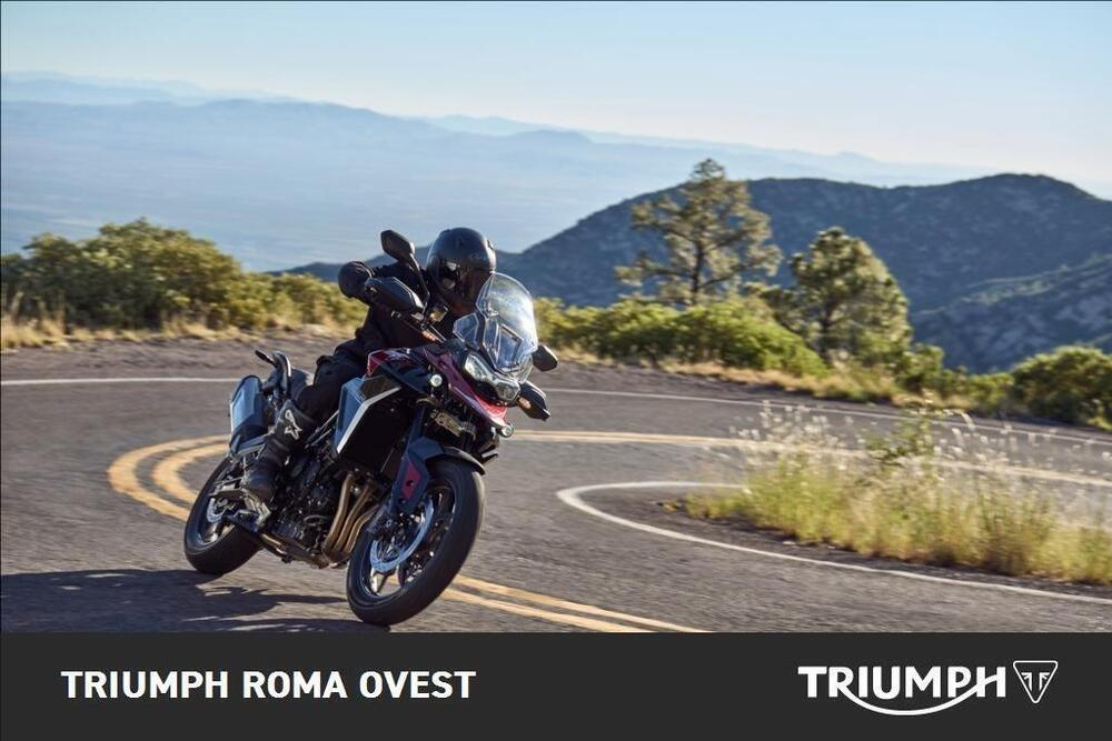 Triumph Tiger 900 GT (2024 - 26) (4)