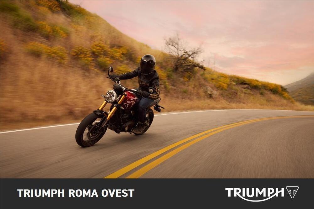 Triumph Speed 400 (2024 - 25) (5)