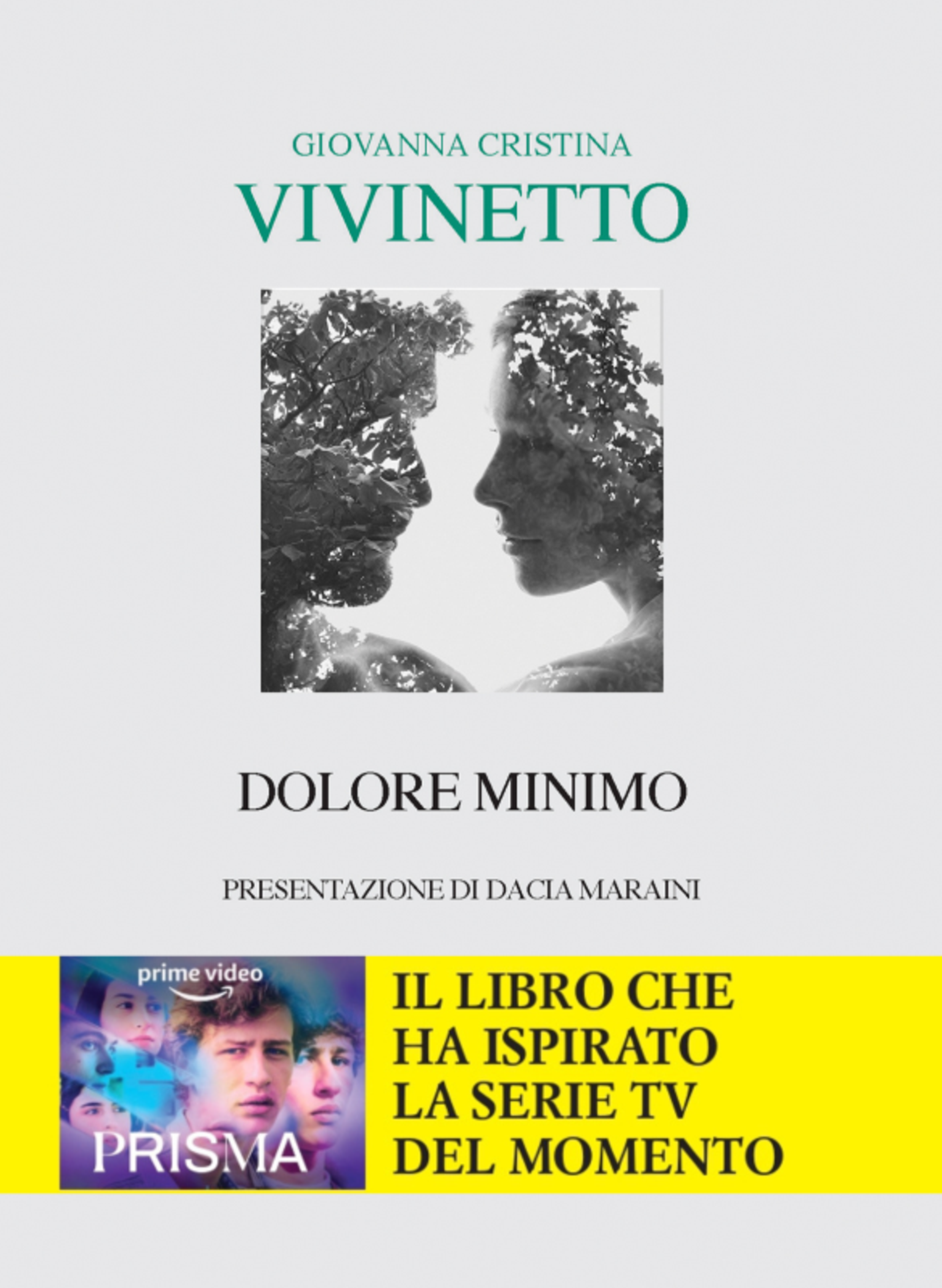 &quot;Dolore minimo&quot; di Giovanna Cristina Vivinetto