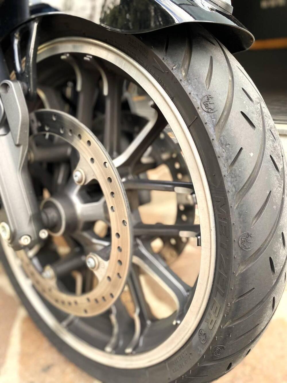 Indian Pursuit 1768 Limited (2022 - 25) (20)