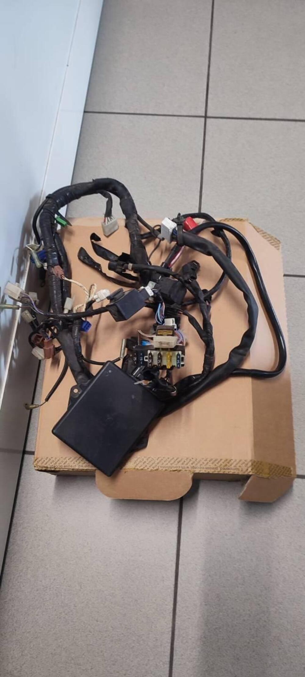 Impianto elettrico Yamaha R6 99/2002