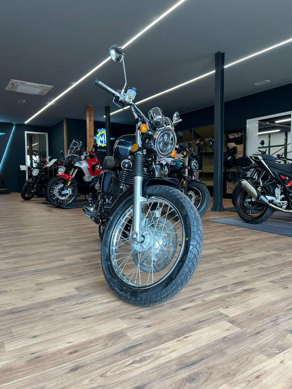 Swm Gran Turismo 650 (2024 - 25) (8)