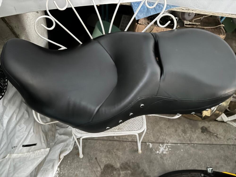 Harley-Davidson Street Glide ST (2022 - 23) (6)