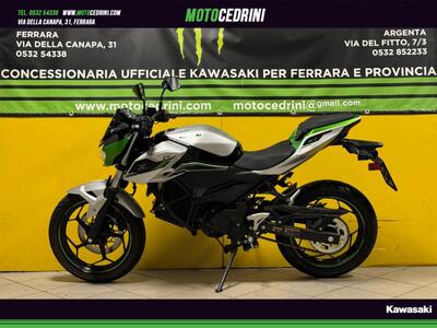 Kawasaki Z e-1 (2024 - 25) usata