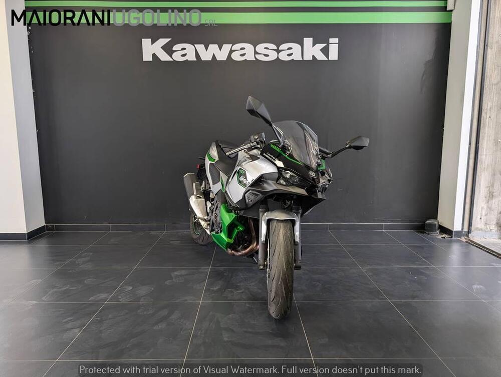 Kawasaki Ninja 7 Hybrid (2024 - 25) (2)