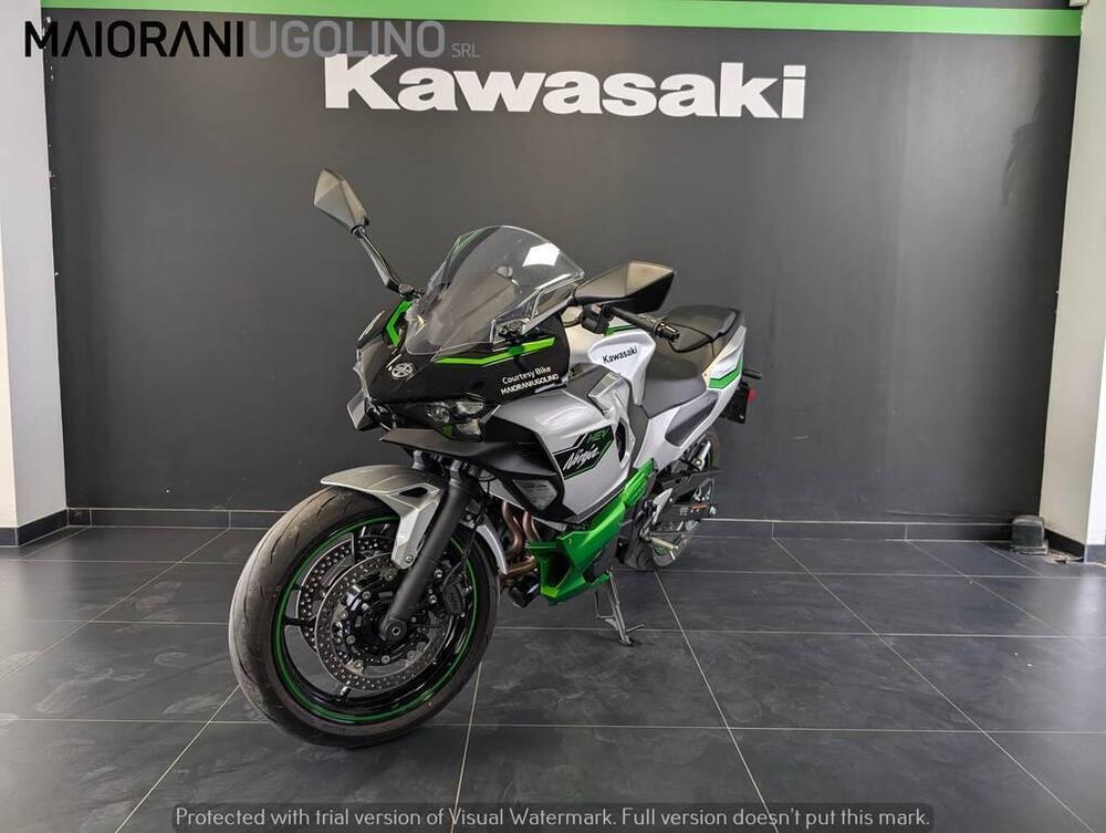 Kawasaki Ninja 7 Hybrid (2024 - 25) (4)