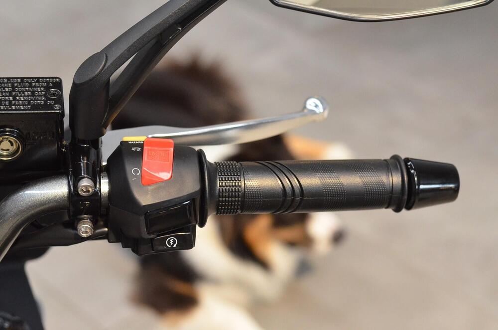 Sym Jet 14 125 CBS LC EVO (2024 - 25) (14)