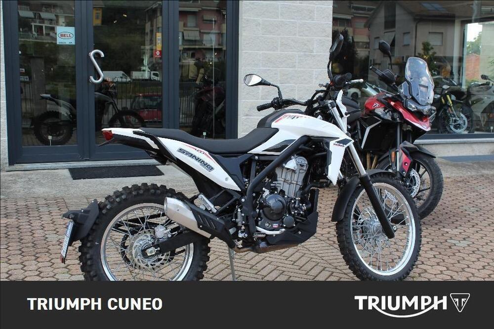 Betamotor Alp 4.0 (2024 - 25) (3)