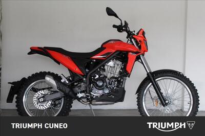 Betamotor Alp 4.0 (2024 - 25) nuova