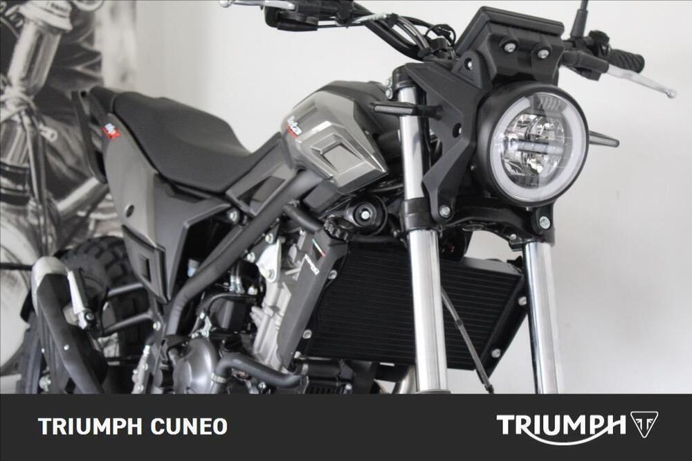 Betamotor Alp X (2024 - 25) (3)