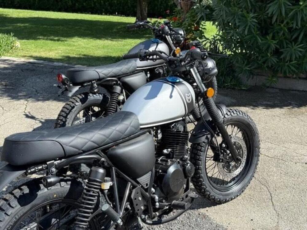 Mutt Motorcycles Fat Sabbath 250 (2021 - 23) (15)