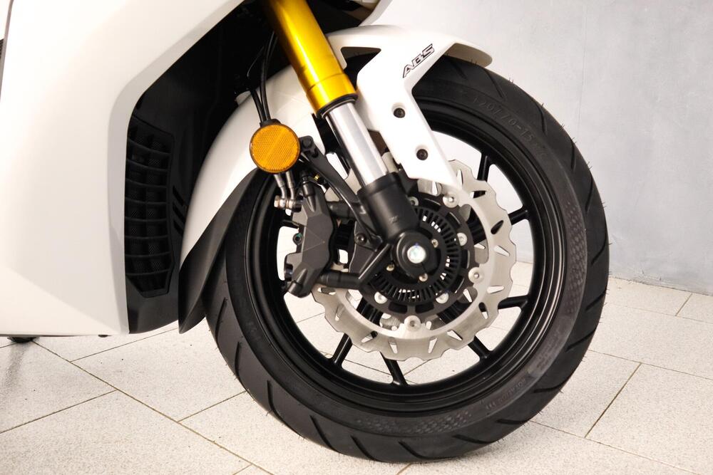 Wottan Motor Storm-R 300 (2023 - 25) (3)