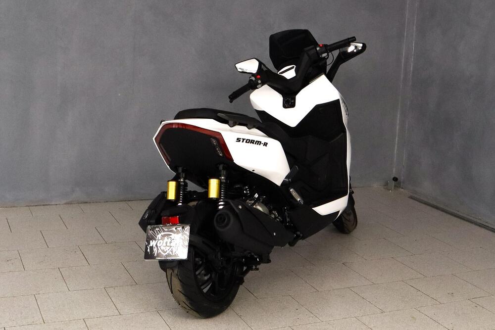 Wottan Motor Storm-R 300 (2023 - 25) (11)