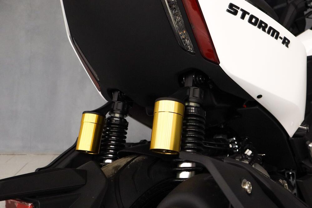 Wottan Motor Storm-R 300 (2023 - 25) (13)