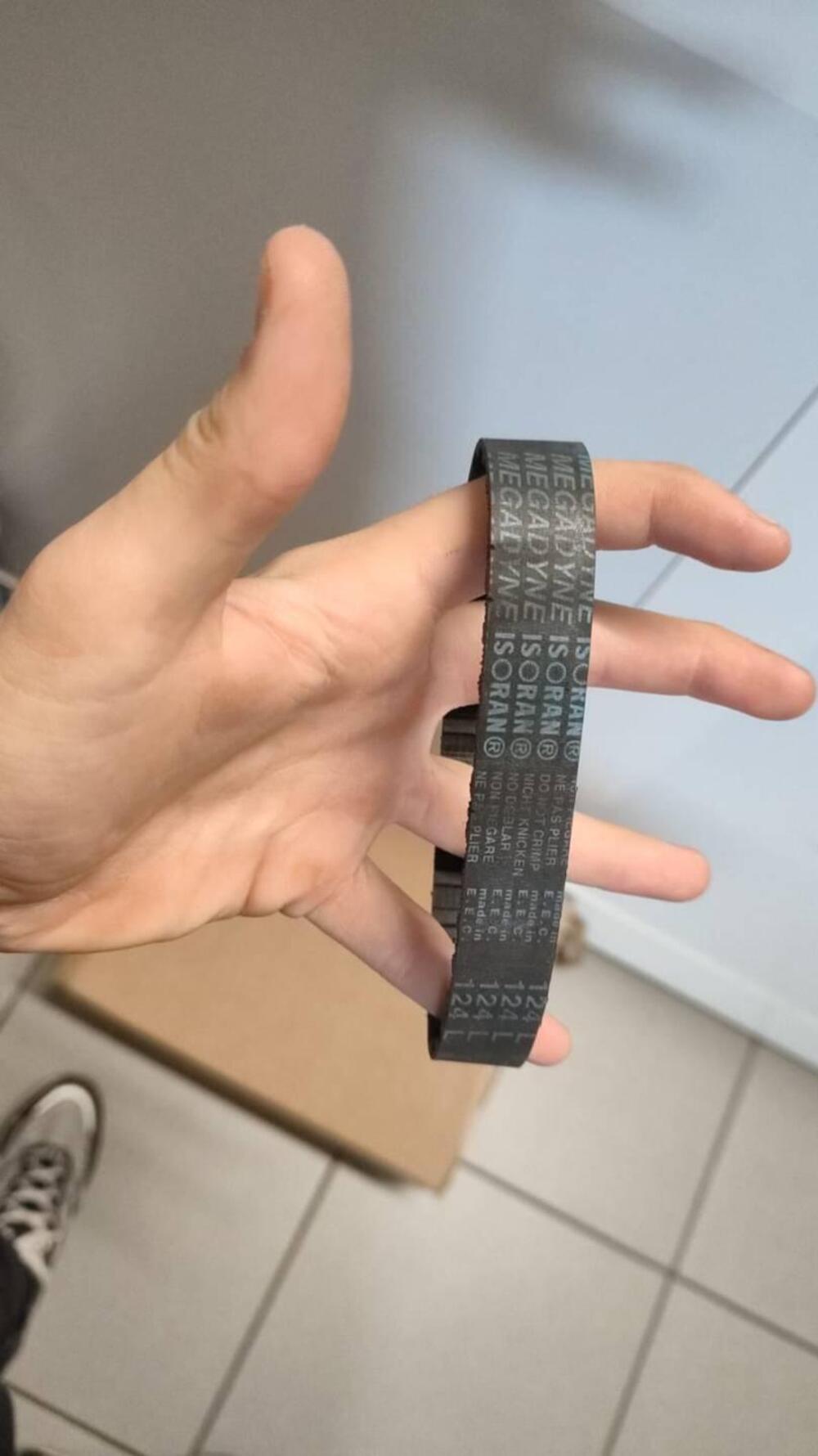 Cinghia originale Morini 31/2 Moto Morini (2)