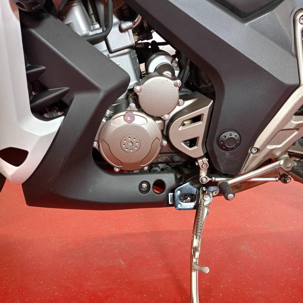 Zontes ZT310-X (2019 - 20) (17)