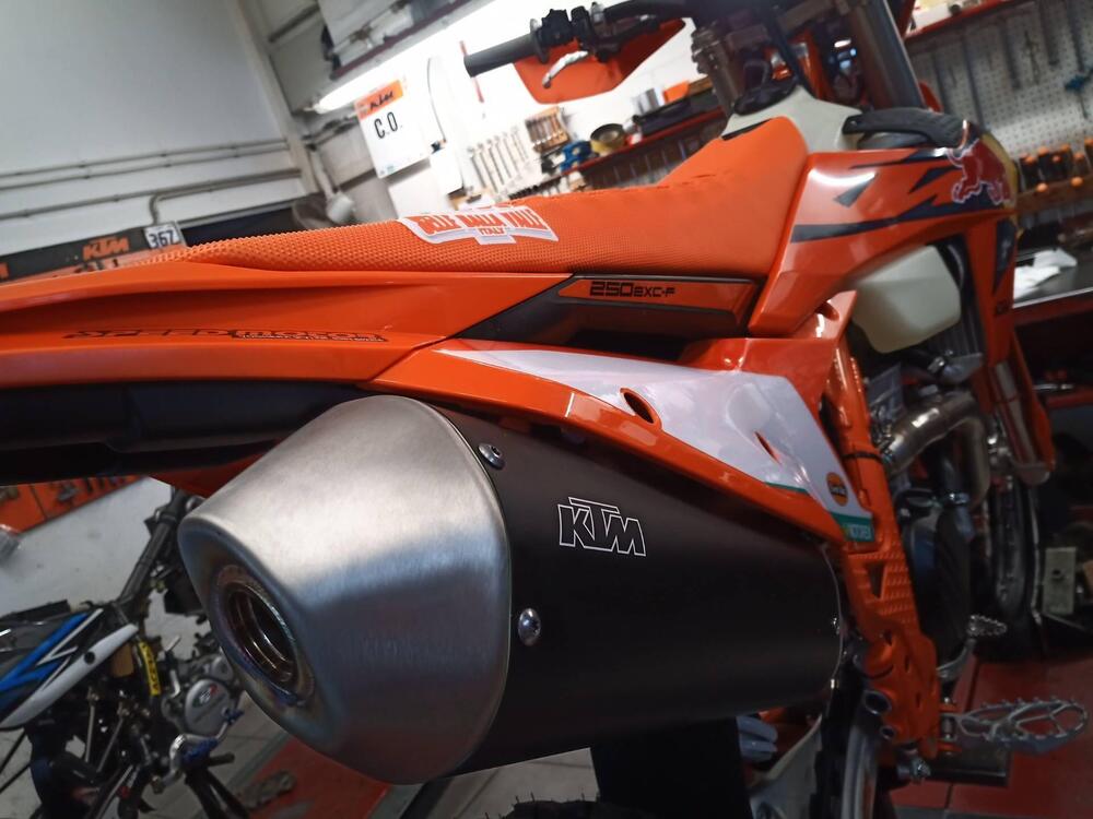 KTM 250 EXC-F Champion Edition (2025) (3)