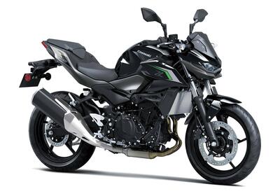 Kawasaki Z 500 (2024 - 26) nuova