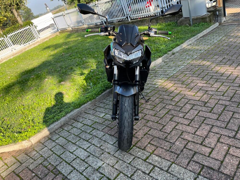 Kawasaki Z 650 (2021 - 24) (6)