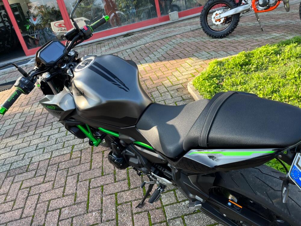 Kawasaki Z 650 (2021 - 24) (12)