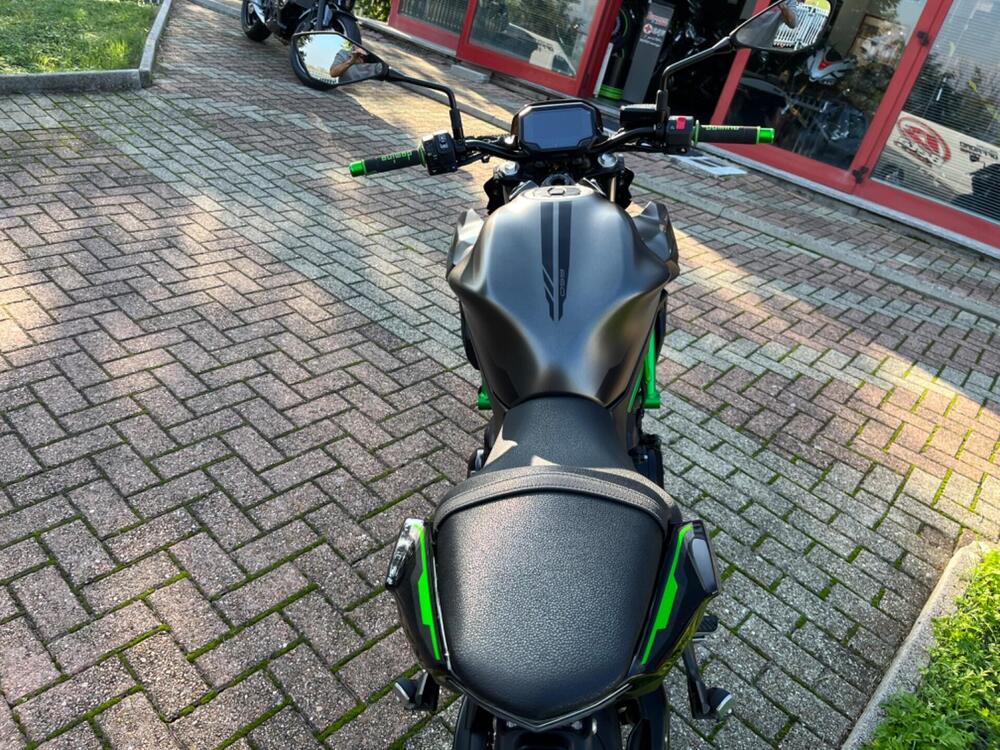 Kawasaki Z 650 (2021 - 24) (13)