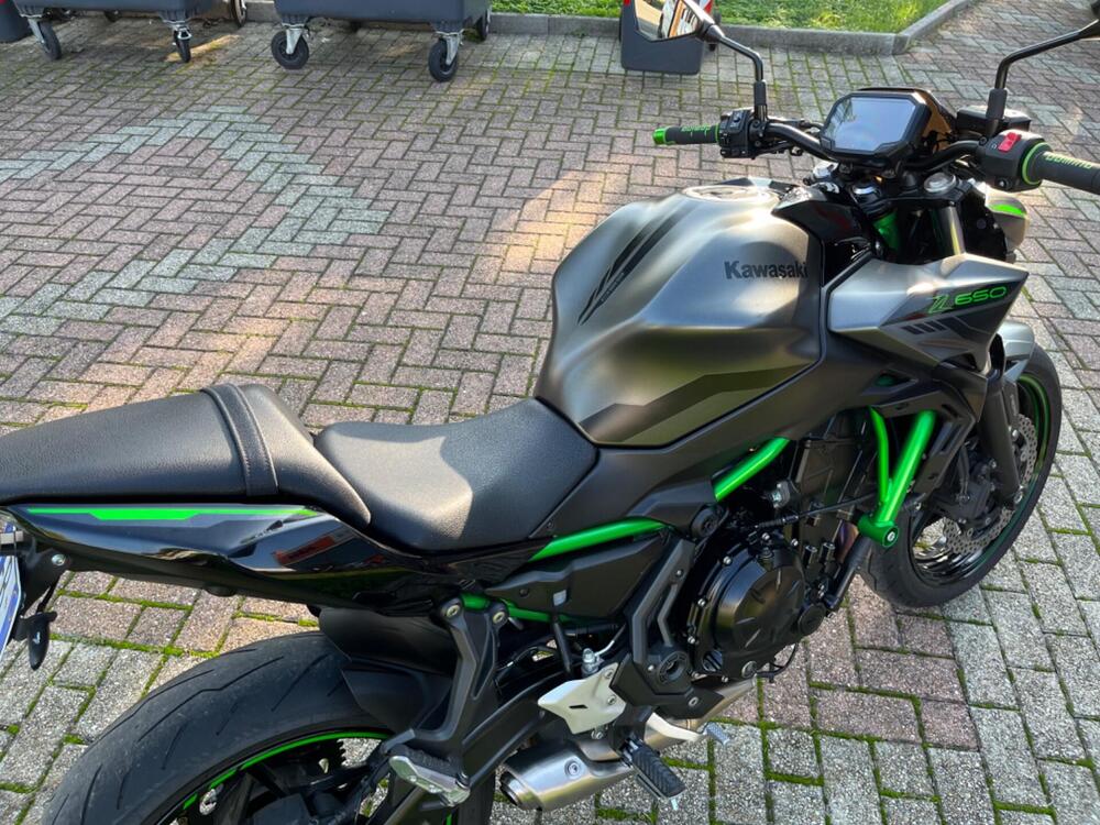 Kawasaki Z 650 (2021 - 24) (15)