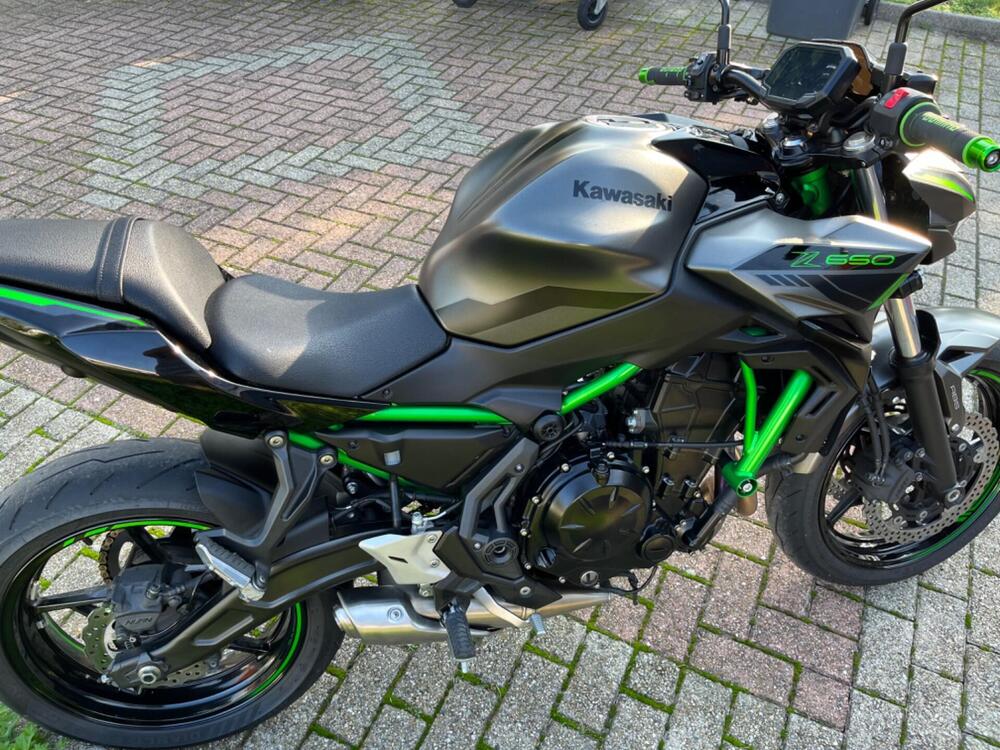 Kawasaki Z 650 (2021 - 24) (16)