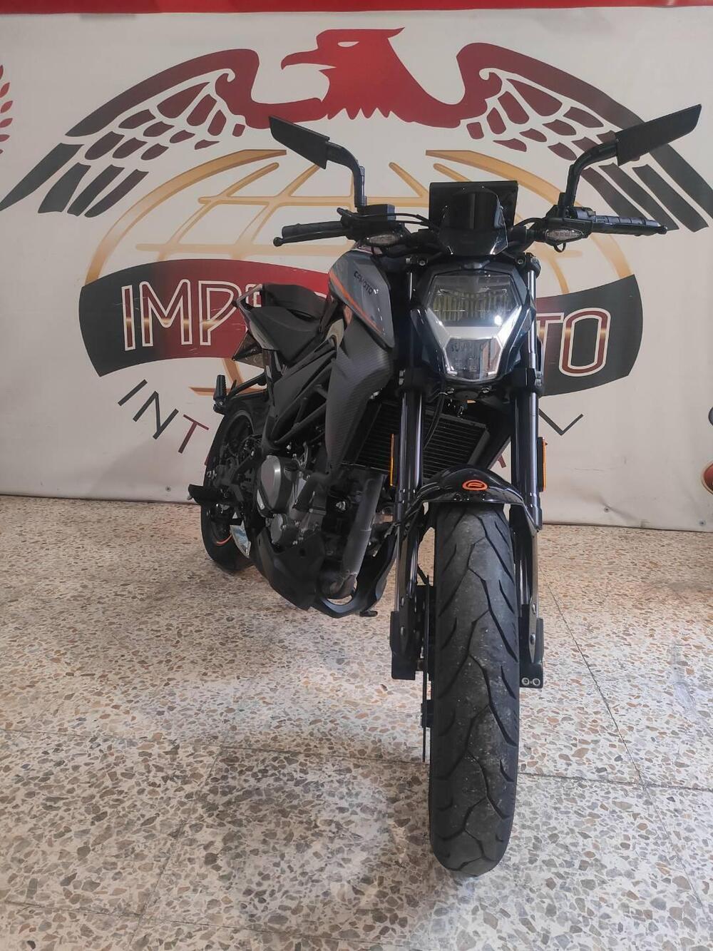 CFMOTO 300NK (2021 - 25) (3)