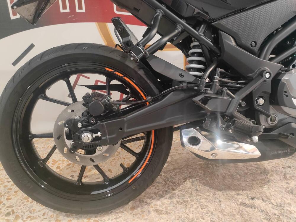 CFMOTO 300NK (2021 - 25) (7)