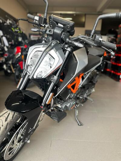 KTM 125 Duke (2024 - 26) usata