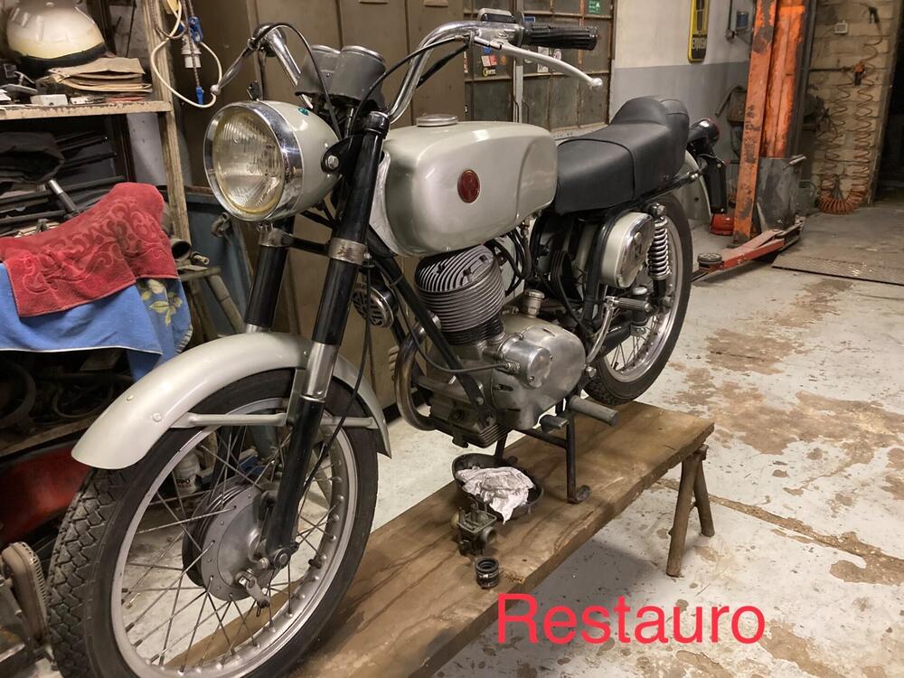 Gilera G 124 - 5 V Strada 1972-TARGA ORO-FMI (14)