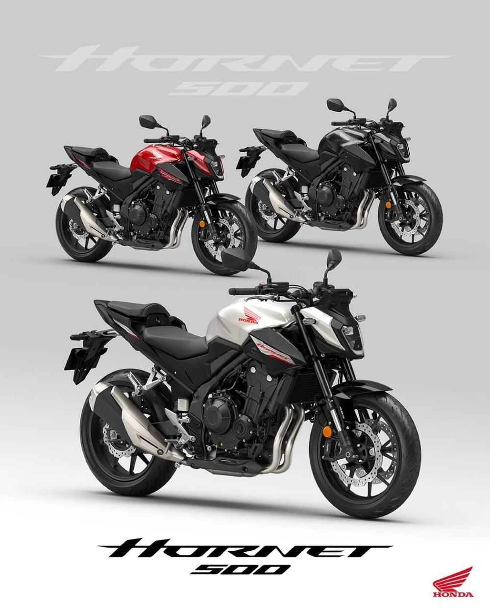 Honda CB 500 Hornet (2024 - 25)