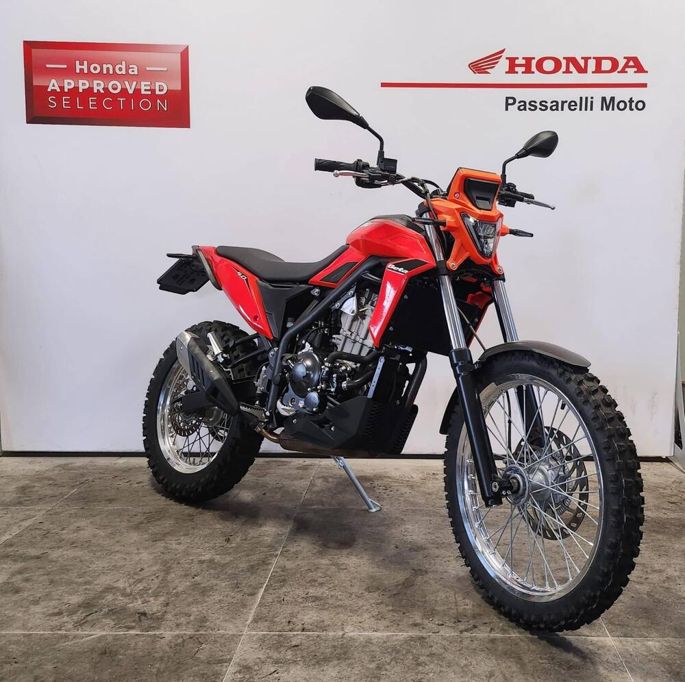 Betamotor Alp 4.0 (2024 - 25)