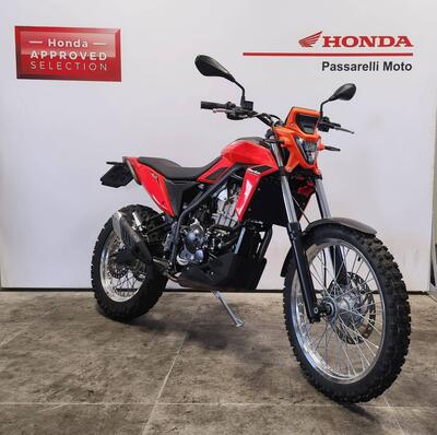 Betamotor Alp 4.0 (2024 - 25) usata