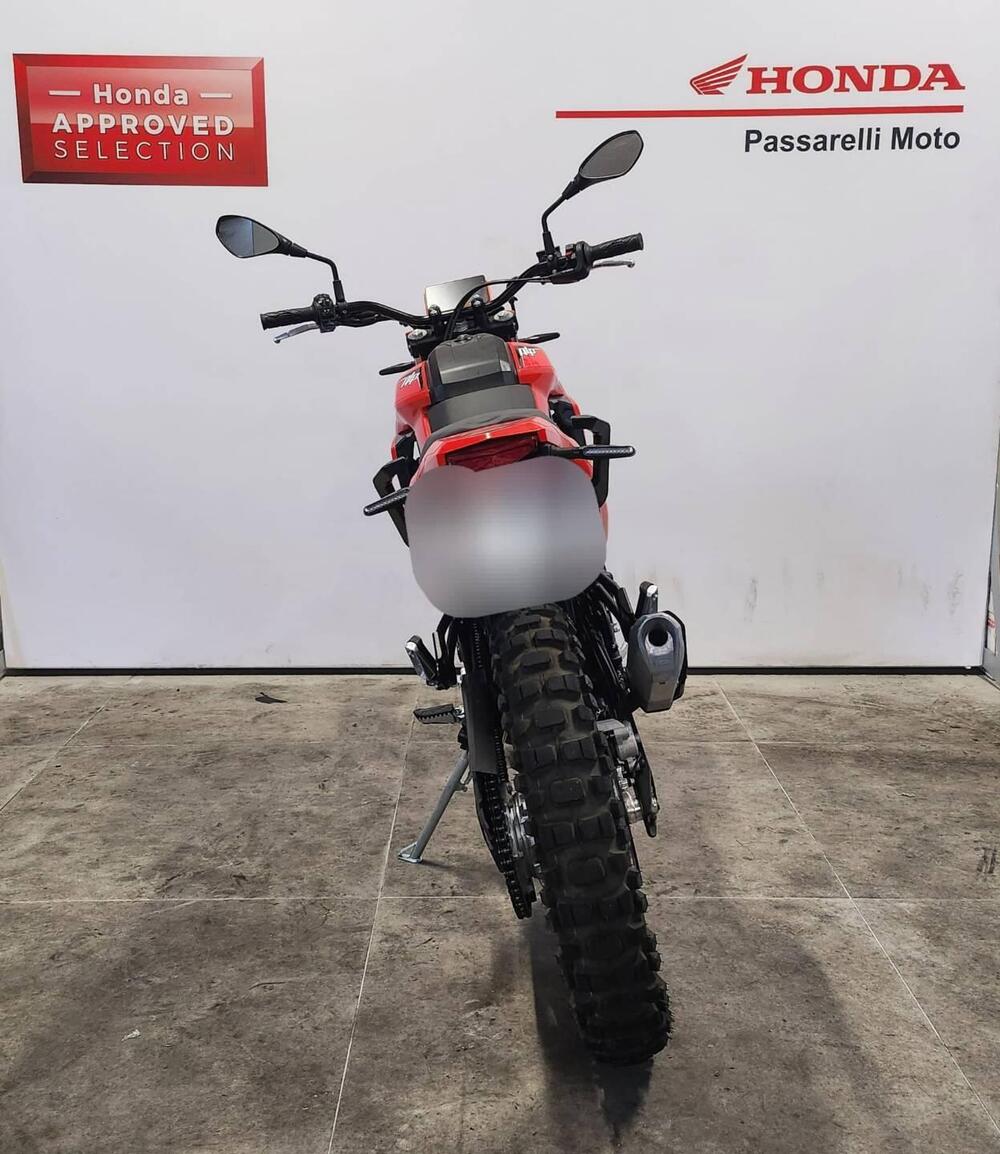 Betamotor Alp 4.0 (2024 - 25) (4)