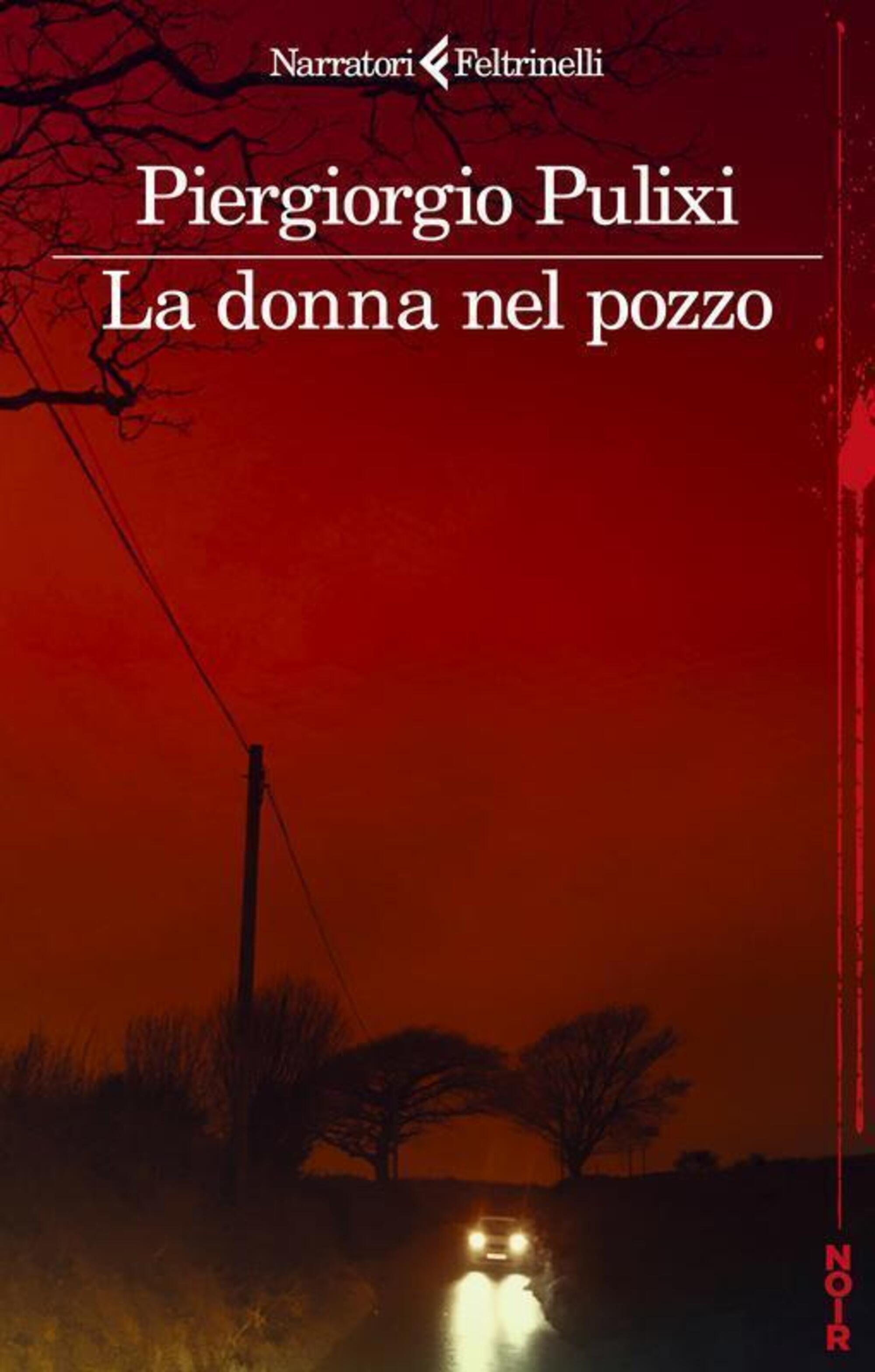 La donna nel pozzo di Piergiorgio Pulixi (Feltrinelli)