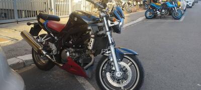 Suzuki SV 650 (2006 - 11) usata