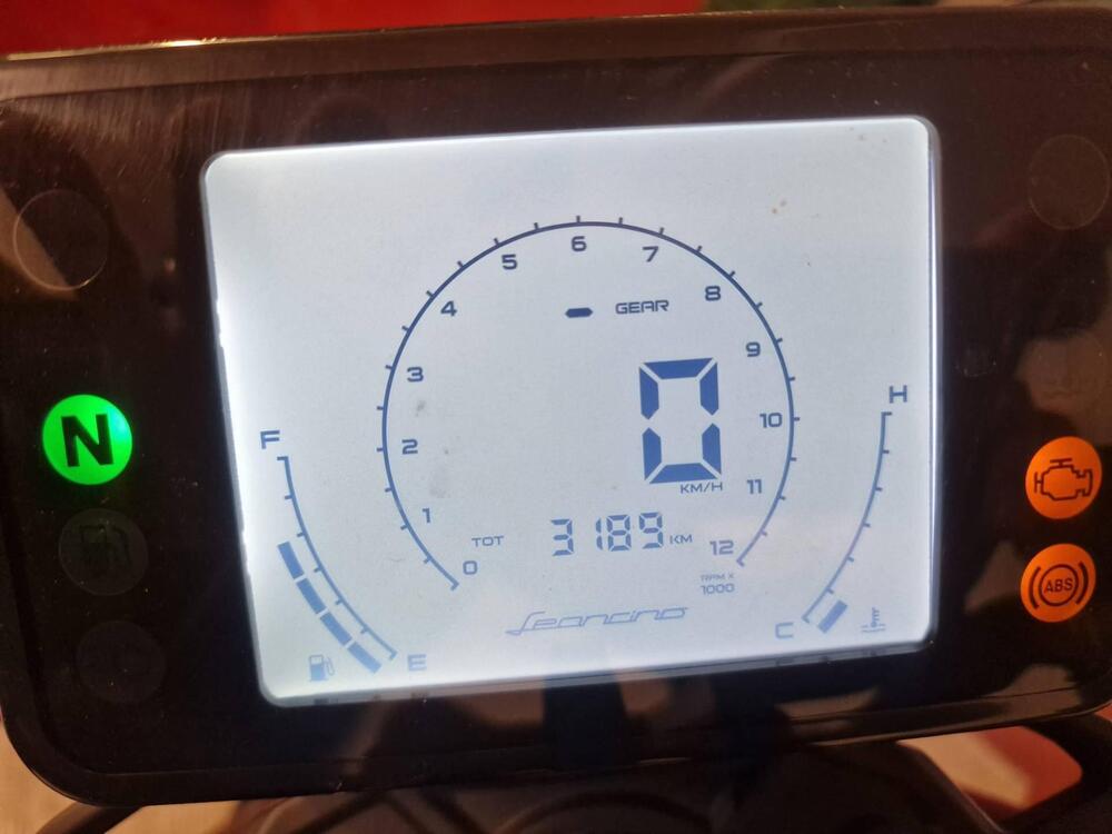 Benelli Leoncino 250 (2021 - 25) (3)