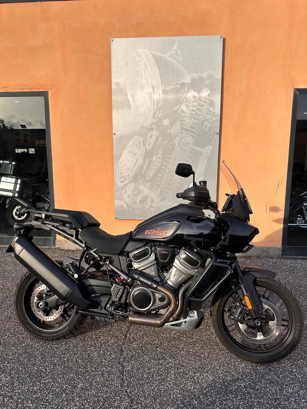 Harley-Davidson Pan America 1250 Special (2020 - 25)