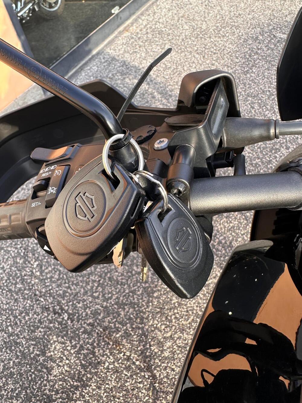 Harley-Davidson Pan America 1250 Special (2020 - 25) (3)