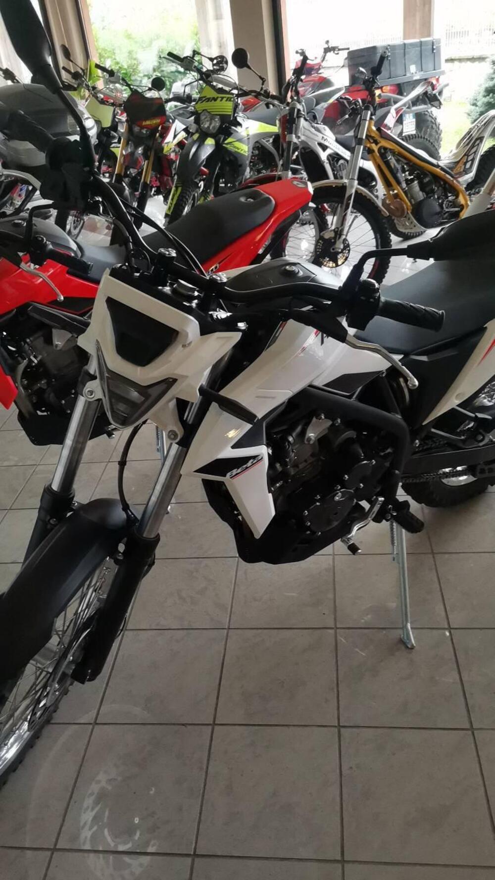 Betamotor Alp 4.0 (2024 - 26) (2)