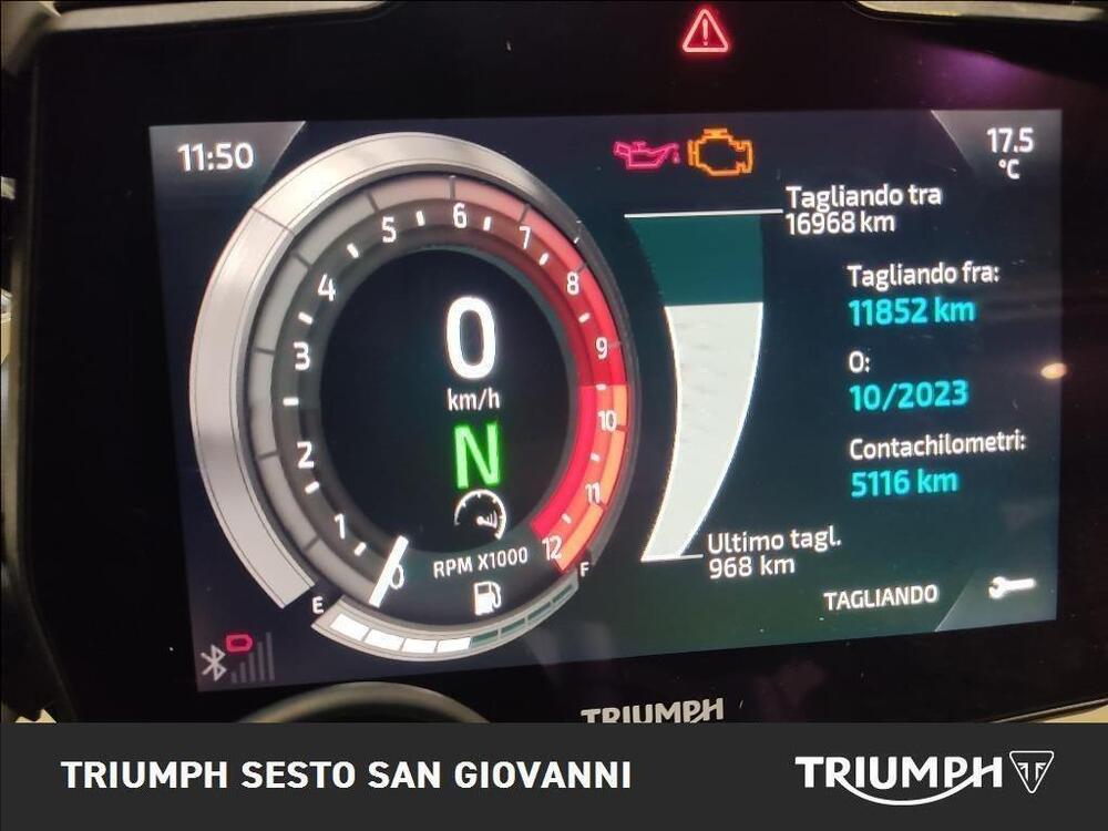 Triumph Tiger 1200 GT (2022 - 25) (4)